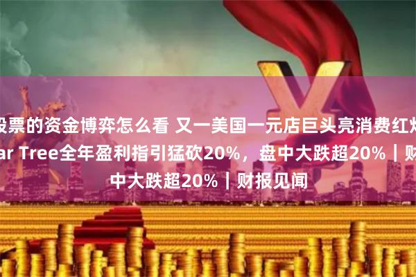 股票的资金博弈怎么看 又一美国一元店巨头亮消费红灯！Dollar Tree全年盈利指引猛砍20%，盘中大跌超20%｜财报见闻