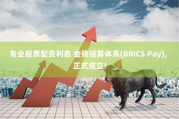 专业股票配资利息 金砖结算体系(BRICS Pay), 正式成立!