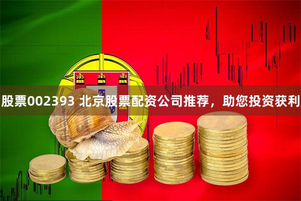 股票002393 北京股票配资公司推荐，助您投资获利