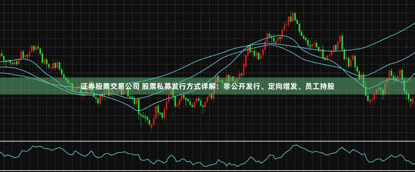 证券股票交易公司 股票私募发行方式详解：非公开发行、定向增发、员工持股