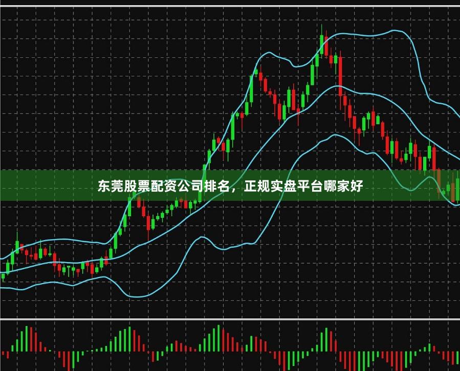 东莞股票配资公司排名，正规实盘平台哪家好
